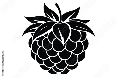 raspberry silhouette line art vector illustration