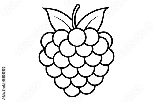 raspberry silhouette line art vector illustration