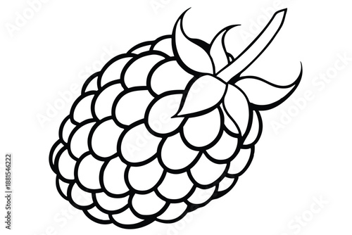raspberry silhouette line art vector illustration