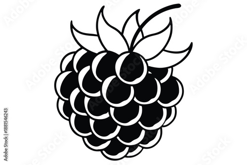 raspberry silhouette line art vector illustration