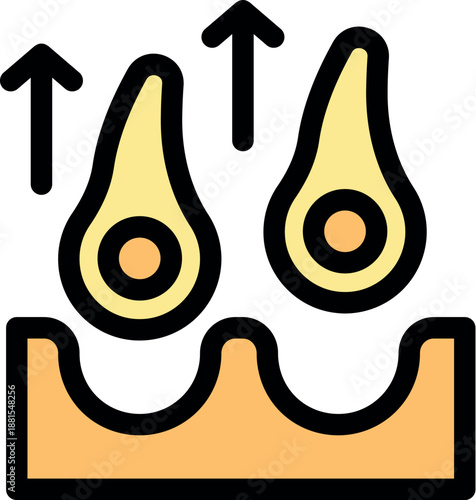 Hair follicles growing from skin, with arrows pointing up, symbolizing hair growth and health