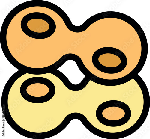 Binary fission process illustration showing the division of a bacterium into two daughter cells