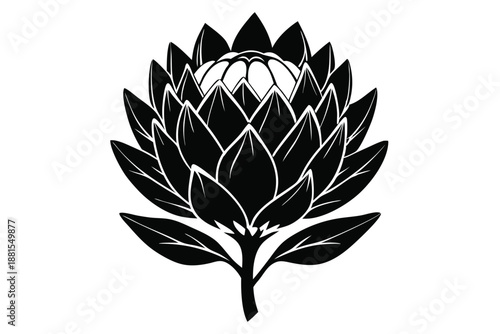 protea silhouette line art vector illustration