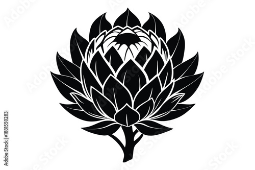 protea silhouette line art vector illustration