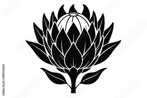 protea silhouette line art vector illustration