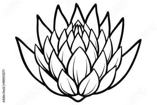 protea silhouette line art vector illustration