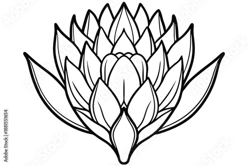 protea silhouette line art vector illustration