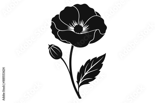 poppy silhouette line art vector illustration