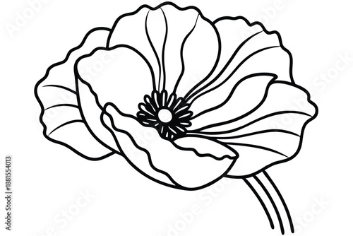 poppy silhouette line art vector illustration