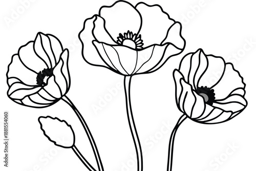 poppy silhouette line art vector illustration