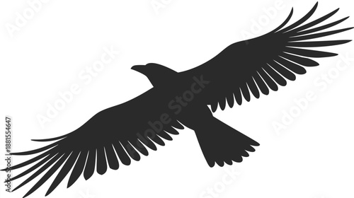 a bird in flight with wings spread wide silhouette high quality professional detailed modern elegant stylish