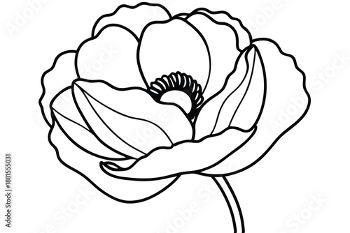 poppy silhouette line art vector illustration