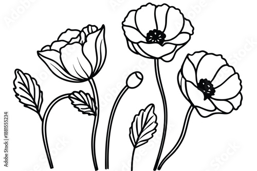 poppy silhouette line art vector illustration