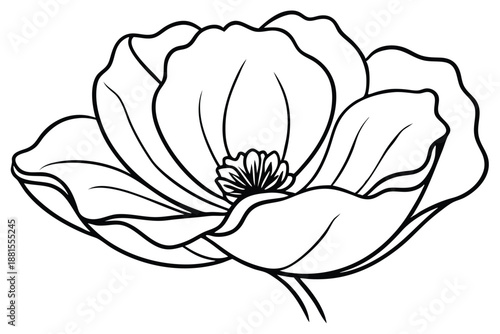 poppy silhouette line art vector illustration