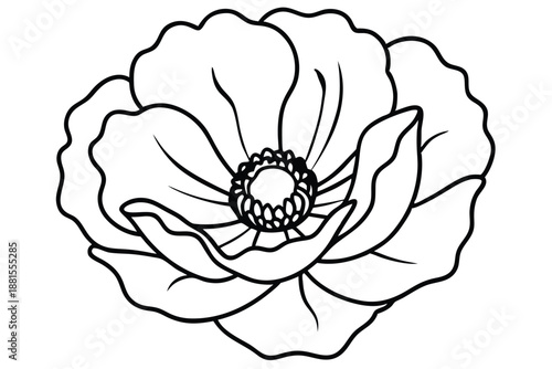 poppy silhouette line art vector illustration