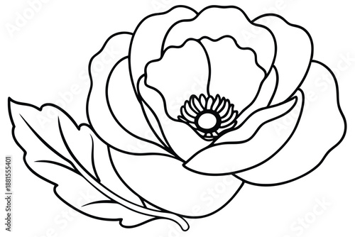 poppy silhouette line art vector illustration