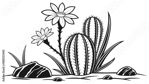 Detailed botanical illustration of desert cacti and blooming flowers in a stark black and white silhouette