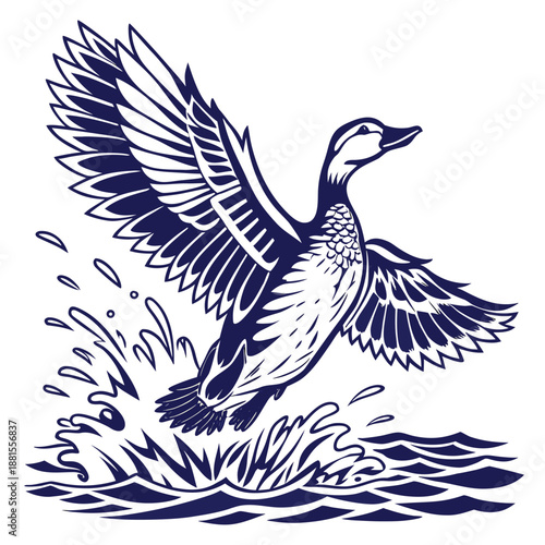 A majestic duck taking flight from the water displaying broad wings and dynamic water splashes silhouette