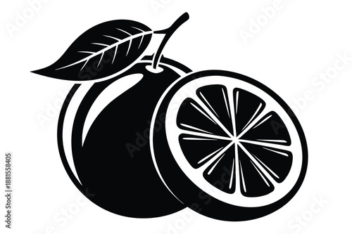 pomelo silhouette line art vector illustration