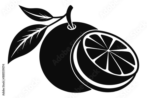 pomelo silhouette line art vector illustration