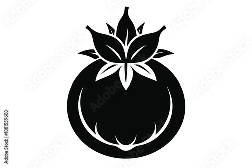 pomegranate silhouette line art vector illustration