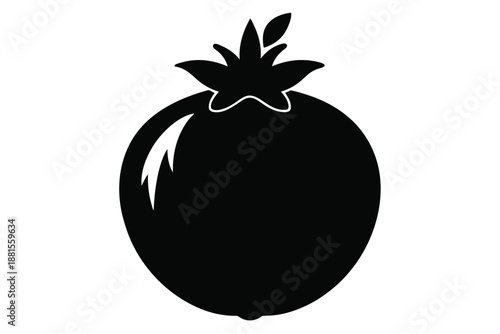 pomegranate silhouette line art vector illustration