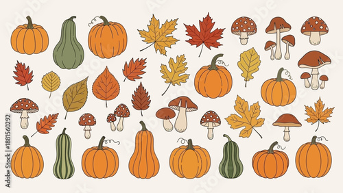 Autumn Harvest Collection: Pumpkins, Gourds, Fall Leaves, and Mushrooms Vector Set