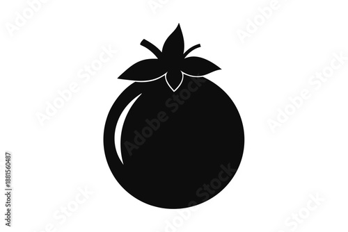 pomegranate silhouette line art vector illustration
