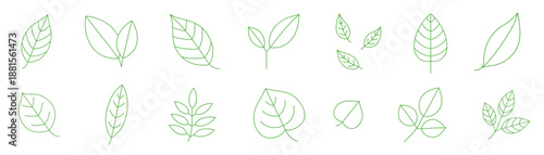 Vector Set of Minimalist Green Leaf Line Icons for Eco-Friendly Design