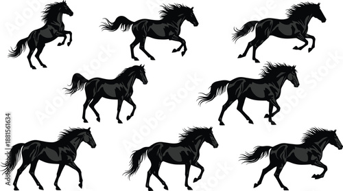 Collection of black horse silhouettes in motion including galloping, trotting, and rearing poses isolated on white background for equine design.