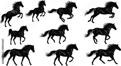 Collection of black horse silhouettes in various dynamic poses like galloping, trotting, rearing, and running isolated on a white background.