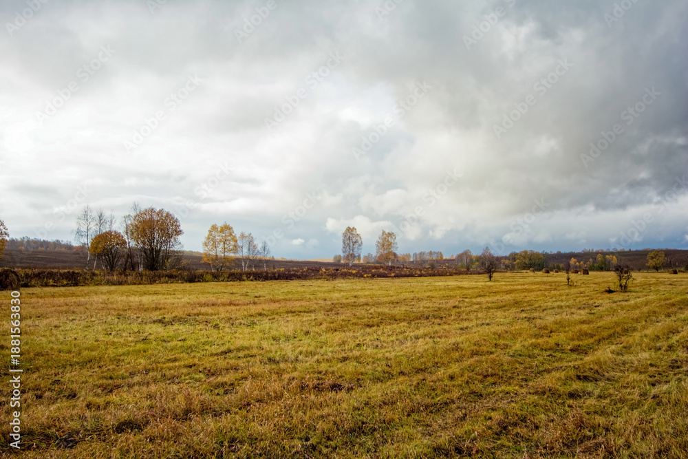 Fototapeta premium A mown field in late autumn on a cloudy day