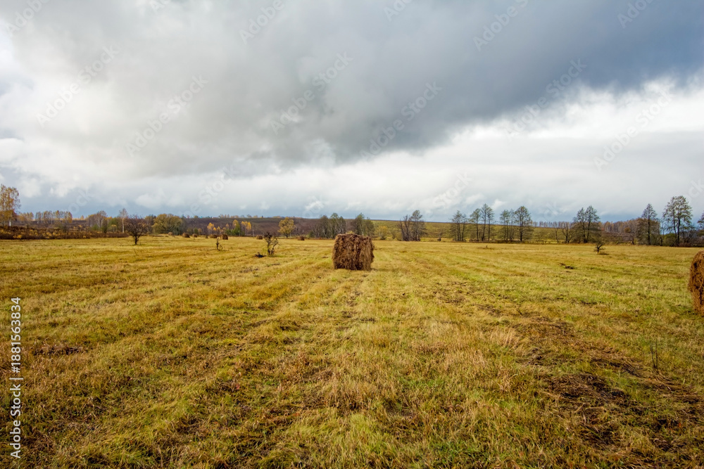 Fototapeta premium A mown field in late autumn on a cloudy day