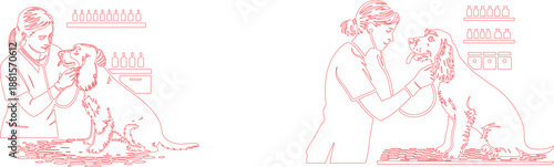 A female veterinarian uses a stethoscope to examine a calm dog during a health checkup