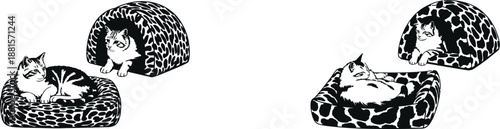 Adorable black and white patterned cats are relaxing inside leopard print pet beds and cozy houses