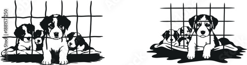 Adorable black and white puppies look out from behind bars, seeking a loving home