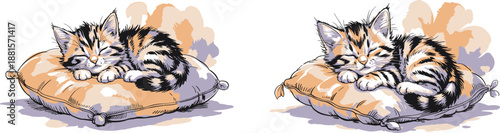 An adorable striped kitten peacefully sleeping on a soft comfortable pillow