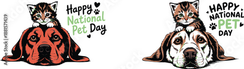 An adorable tabby kitten rests comfortably on the head of a happy brown dog for Pet Day