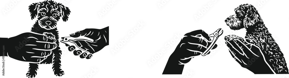 custom made wallpaper toronto digitalCaring hands delicately trim the nails of two different dogs for essential grooming