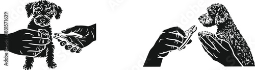 Caring hands delicately trim the nails of two different dogs for essential grooming