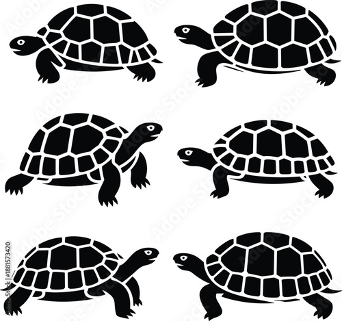 Black turtle silhouette set, sea turtle illustration, reptile animal collection, wildlife icon design, isolated vector graphic, marine life symbol, minimal flat artwork