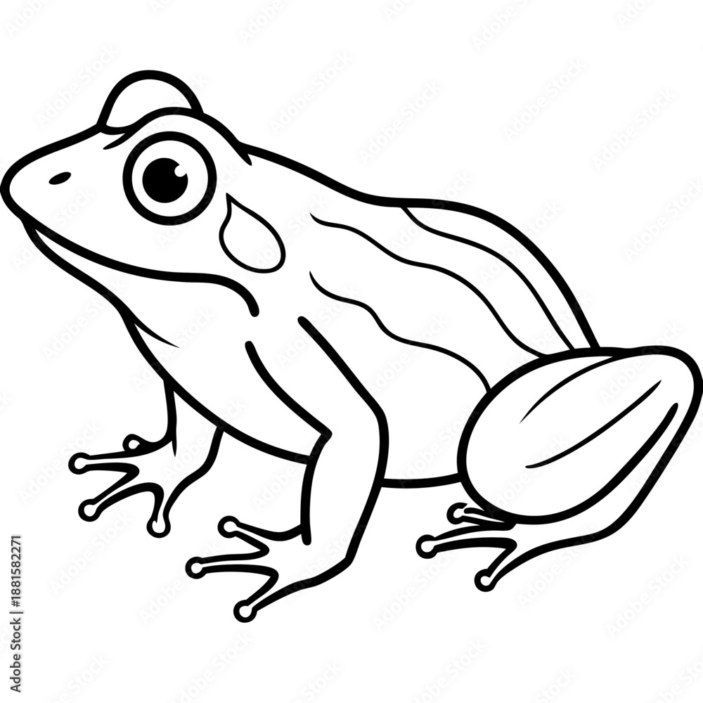 Naklejka premium Frog line art vector