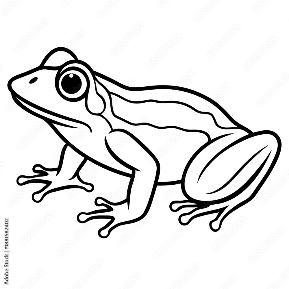 Fototapeta premium Frog line art vector