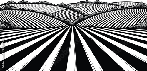 Agricultural field illustration, stylized perspective rows, black and white landscape, rolling hills, vector drawing, rural scenery