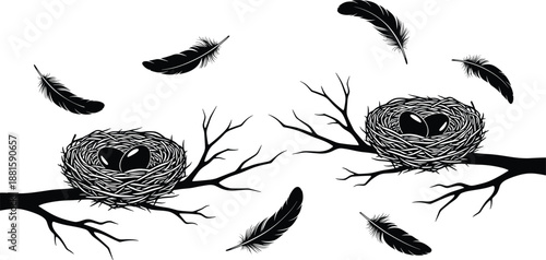 Bird nests with eggs illustration, floating feathers, tree branches, black and white nature sketch, vector drawing