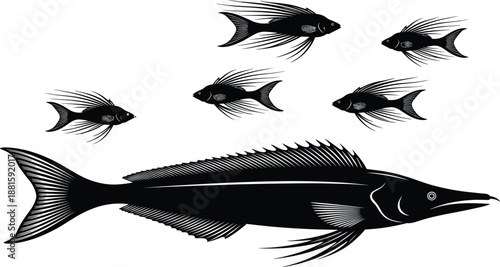 Fish illustration set with large predator and small schooling fish, vintage engraved aquatic wildlife, black and white marine artwork