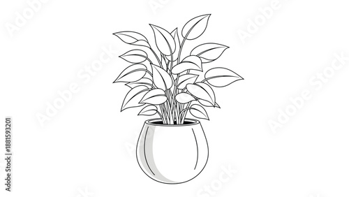 Minimalist black and white line drawing of a leafy houseplant sitting in a rounded ceramic pot for interior home decoration.