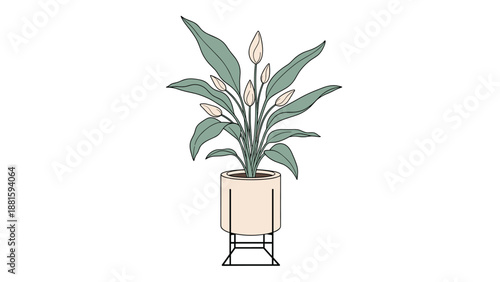 Elegant illustration of a white flowering lily plant in a modern ceramic pot standing on a black metal frame.