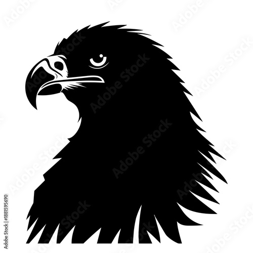 Detailed black and white image of an eagle or falcon head in profile. Stylized drawing with delineated feathers. Pictogram of majesty and power. Vector illustration.