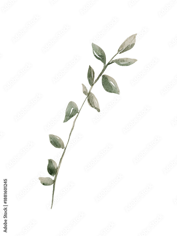 Obraz premium Watercolor leaves